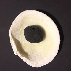 Black pebble in a white shell.