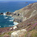 St Agnes head, granite and heather, for Pam.