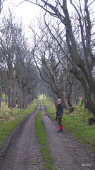 Path on the Earl of Seafield's estate