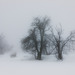 Nebel im Winter -  20150101