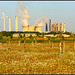 Power plant  nature