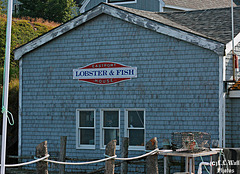 Eastport Lobster & Fish