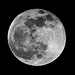 IMG 6876 Moon dpp