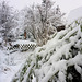 Wintergarten- heute Morgen in Deutschland