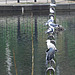 Birds on poles