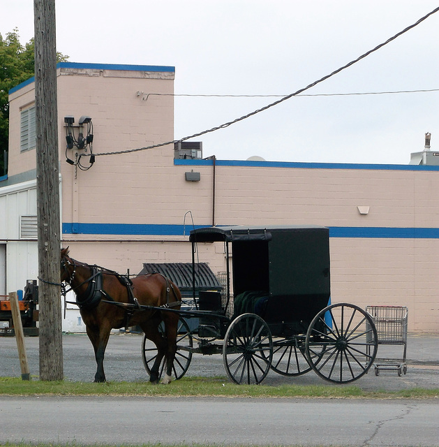 Amish carriage somewhere in NY state