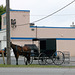 Amish carriage somewhere in NY state