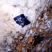 Blauer Steinsalzkristall