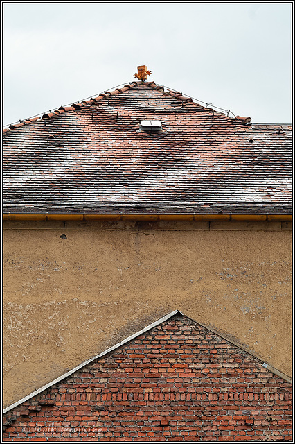 Bernd-das Brot aufm Dach