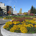 Flower garden in public park, Moncton, NB