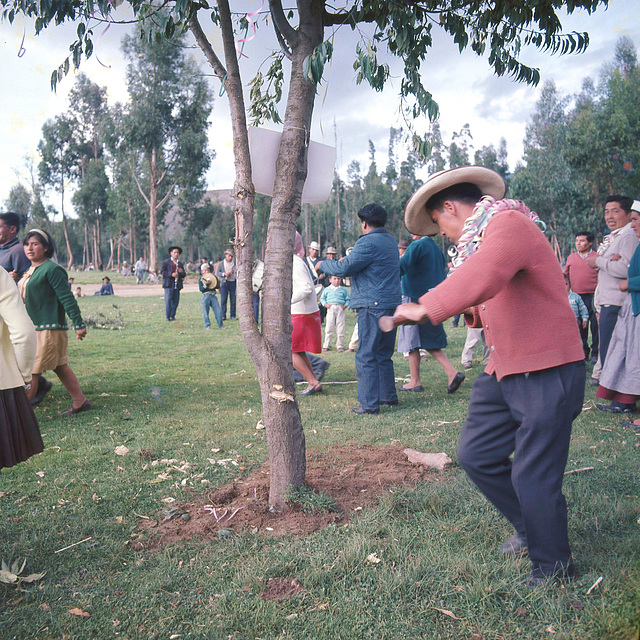 Tumbamote( Yunza), in  Hualhuas  in   1968