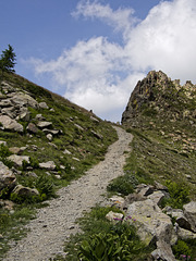 Last meters towards the Tesina Pass (2400 m)
