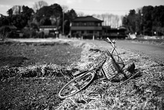 Biicycle resting on a roadside