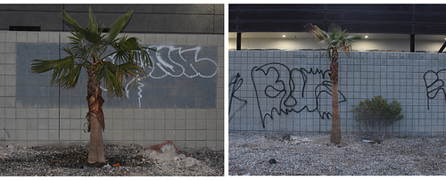 Las Vegas Graffiti 02052024