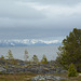 Norway, Cold Arctic Summer on the Coast of the Alta Fjord