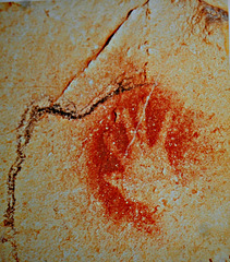 Chauvet cave painting / Oldest painting in the world