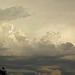 Babyelephantus cloud