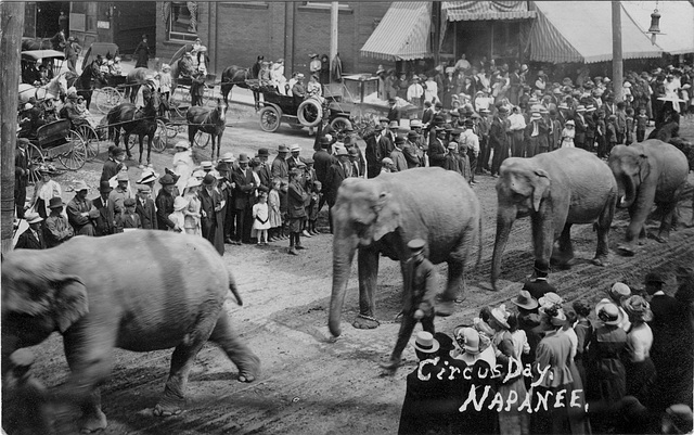 4636. Circus Day, Napanee.