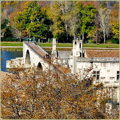 Avignon : il pezzo di ponte del XII secolo sul Rodano sopravvissuto nella alluvione del 1669 e usato come punto panoramico nella città vecchia