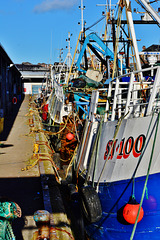 Fishing boats all in a row
