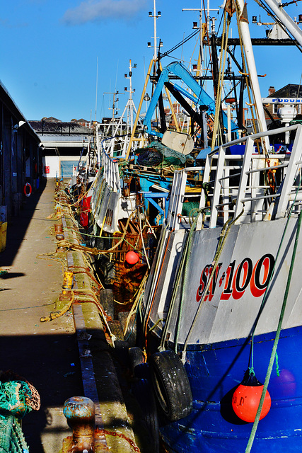 Fishing boats all in a row