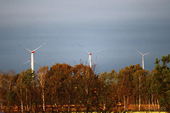 Windpark Hoort