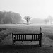 Bench in the fog