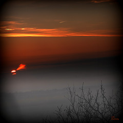 07/12/2023, 09h:09':50", lever de Soleil dans brouillard épais,  Sunrise in thick fog