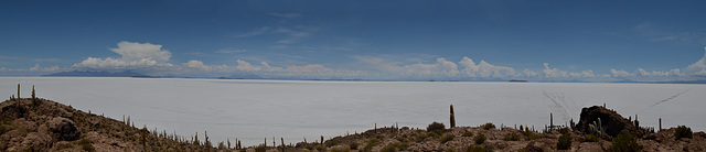 Bolivia, Salar de Uyuni, View from the Top of Isla del Pescado (Fish Island)