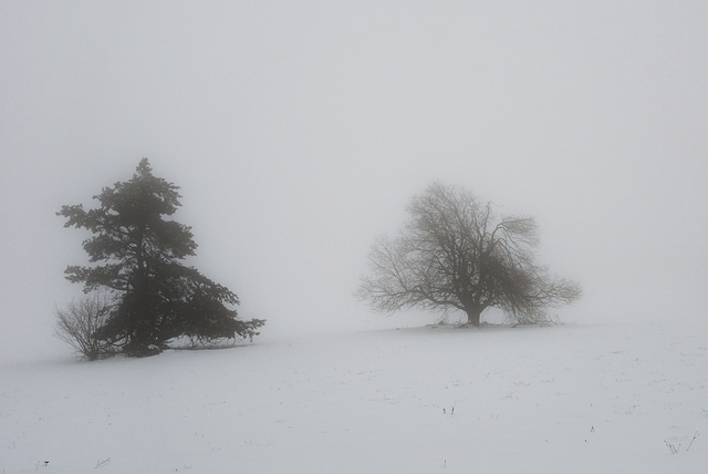 Winternebel - 20150101