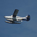 de Havilland DHC-3 Turbo Otter C-FJHA (Harbour Air)