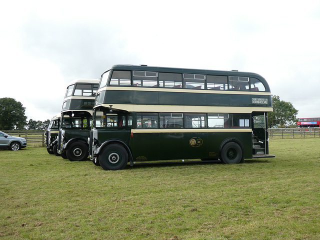 Preserved Todmorden JOC buses at Showbus - 29 Sep 2019 (P1040728)