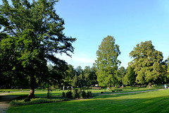 Dahliengarten