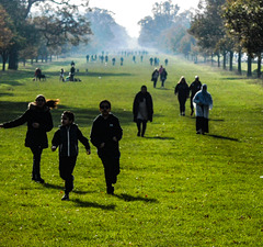 Walking in Windsor Great Park