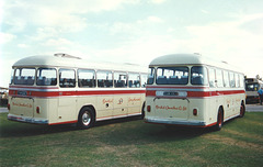 Bristol Greyhound 2148 (FHW 154D) and 2150 (FHW 156D) at Showbus, Duxford – 21 Sep 1997 (373-01)