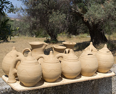 Pots in the sun with olive trees