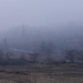misty-day-pano-1.23.19