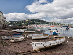 Teignmouth - Low Tide