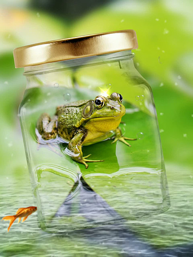 Ipernity Mit Etwas Gluck By Gitte Loveanimals