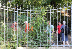Hinter Gittern -beim Rundgang in Braunschweig
