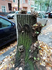 Dem traurigen Stumpf eines Baumes wurde ein lustiges Gesicht gegeben