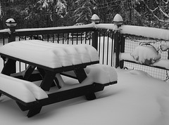 A bit of snow overnight. There was nothing on that table last night.