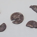 Seven Denarii from the Chao de Llamas Hoard in the Archaeological Museum of Madrid, October 2022