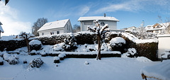 Mein Garten vorgestern - My backyard the day before yesterday - Dec. 30th, 2014
