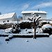 Mein Garten vorgestern - My backyard the day before yesterday - Dec. 30th, 2014