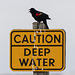 Caution - deep water