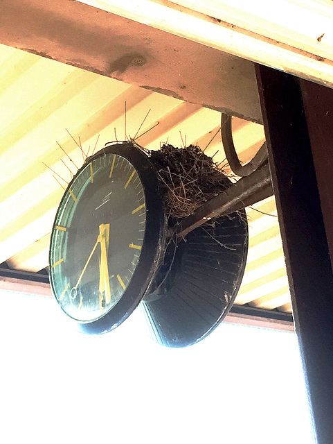 Le temps des nids