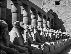 Temple of Karnak, Luxor
