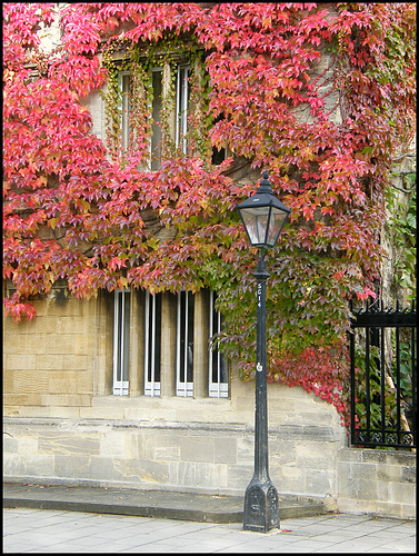 street lamp in autumn