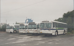 Metro Transit (Halifax, NS) line up - 9 Sept 1992 (175-22)